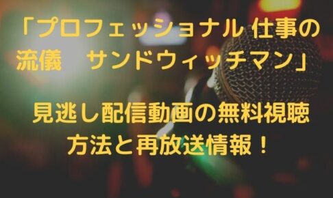 プロフェッショナル サンドウィッチマン の再放送と見逃し配信動画を無料で視聴する方法 シナノマチ情報局