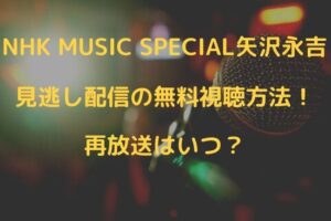 プロフェッショナル サンドウィッチマン の再放送と見逃し配信動画を無料で視聴する方法 シナノマチ情報局