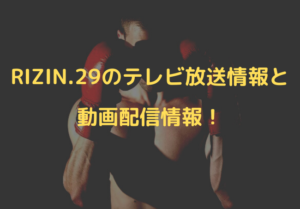 rizin tv douga