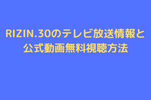 RIZIN.30