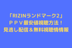 rizin-landmark2-douga