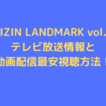 RIZIN LANDMARK vol.3