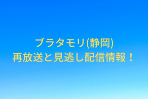 buratamori shizuoka