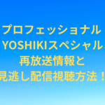 professional-yoshiki